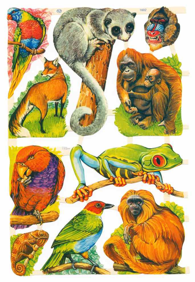 Scrapbook Pictures, Animals.