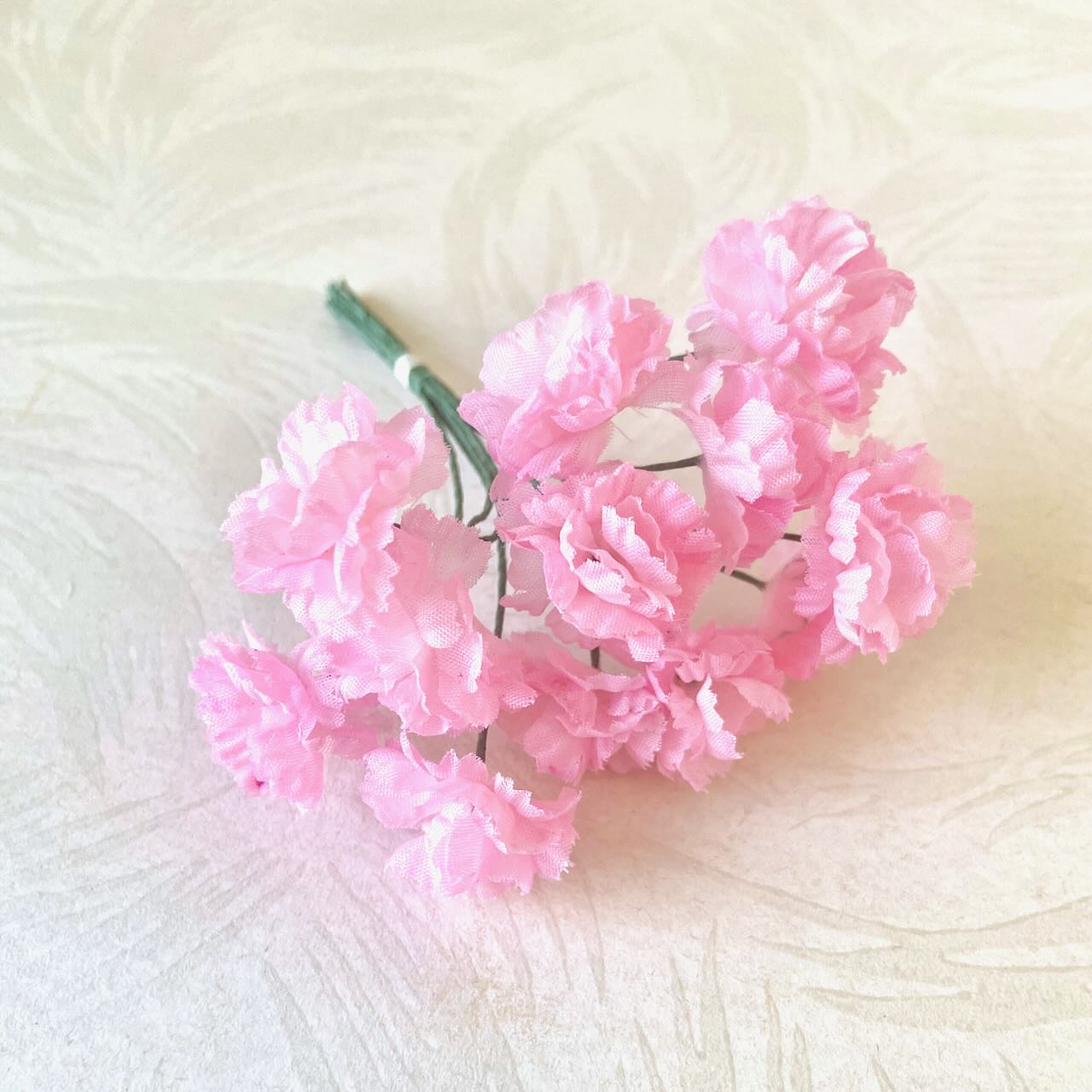 Mini_Carnation