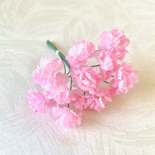 Mini_Carnation
