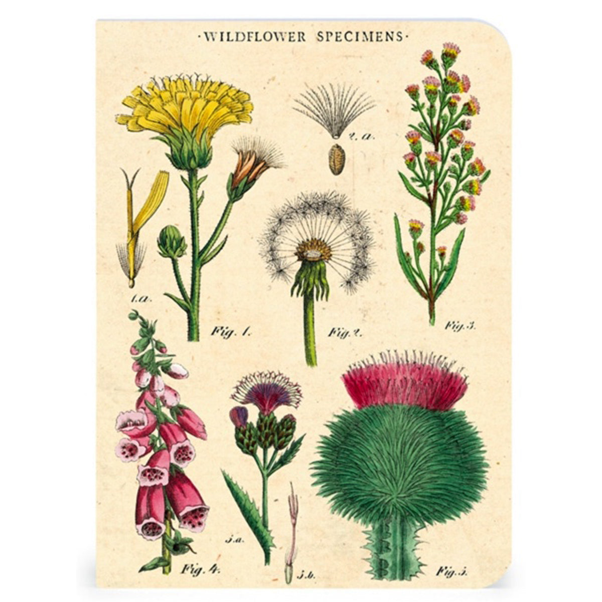 Wildflowers Mini Notebooks Set