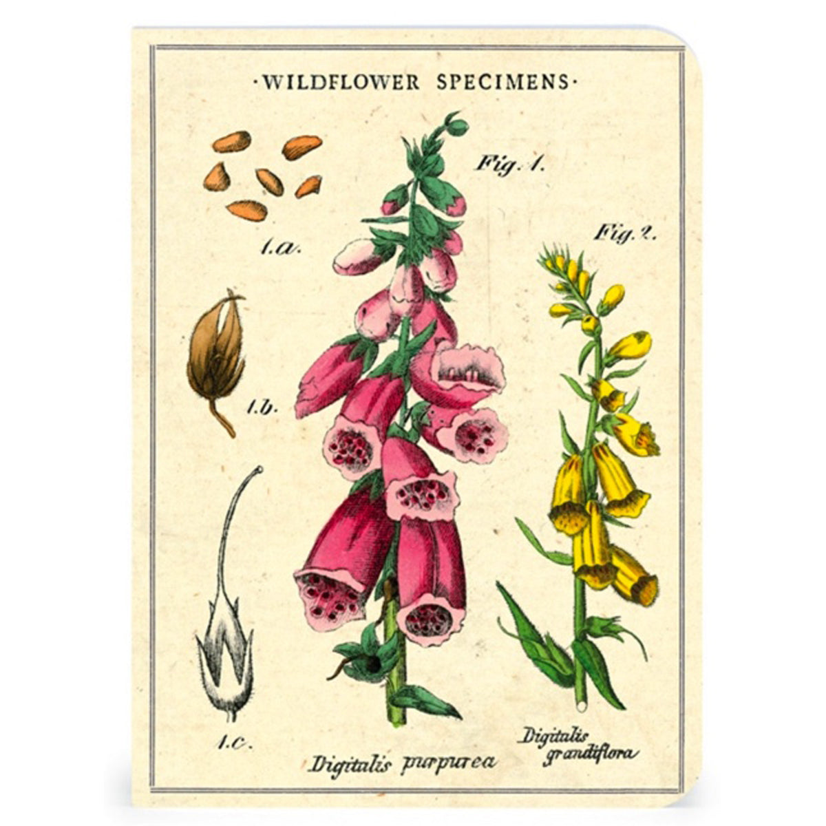 Wildflowers Mini Notebooks Set