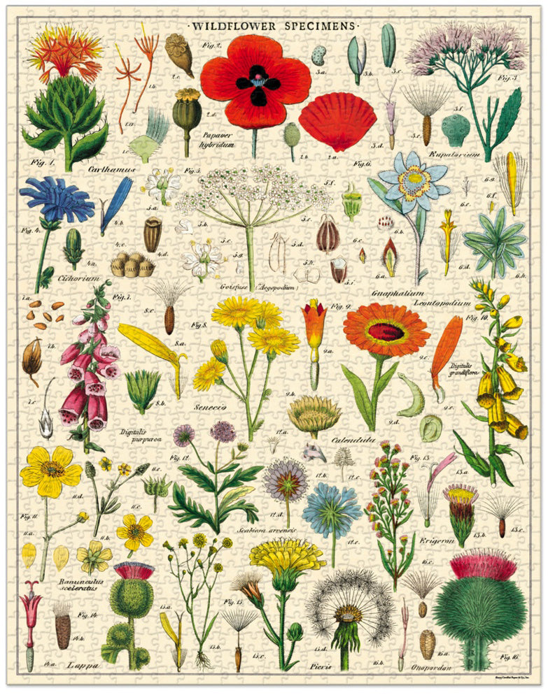 Wild Flowers Vintage Puzzle, by Cavallini