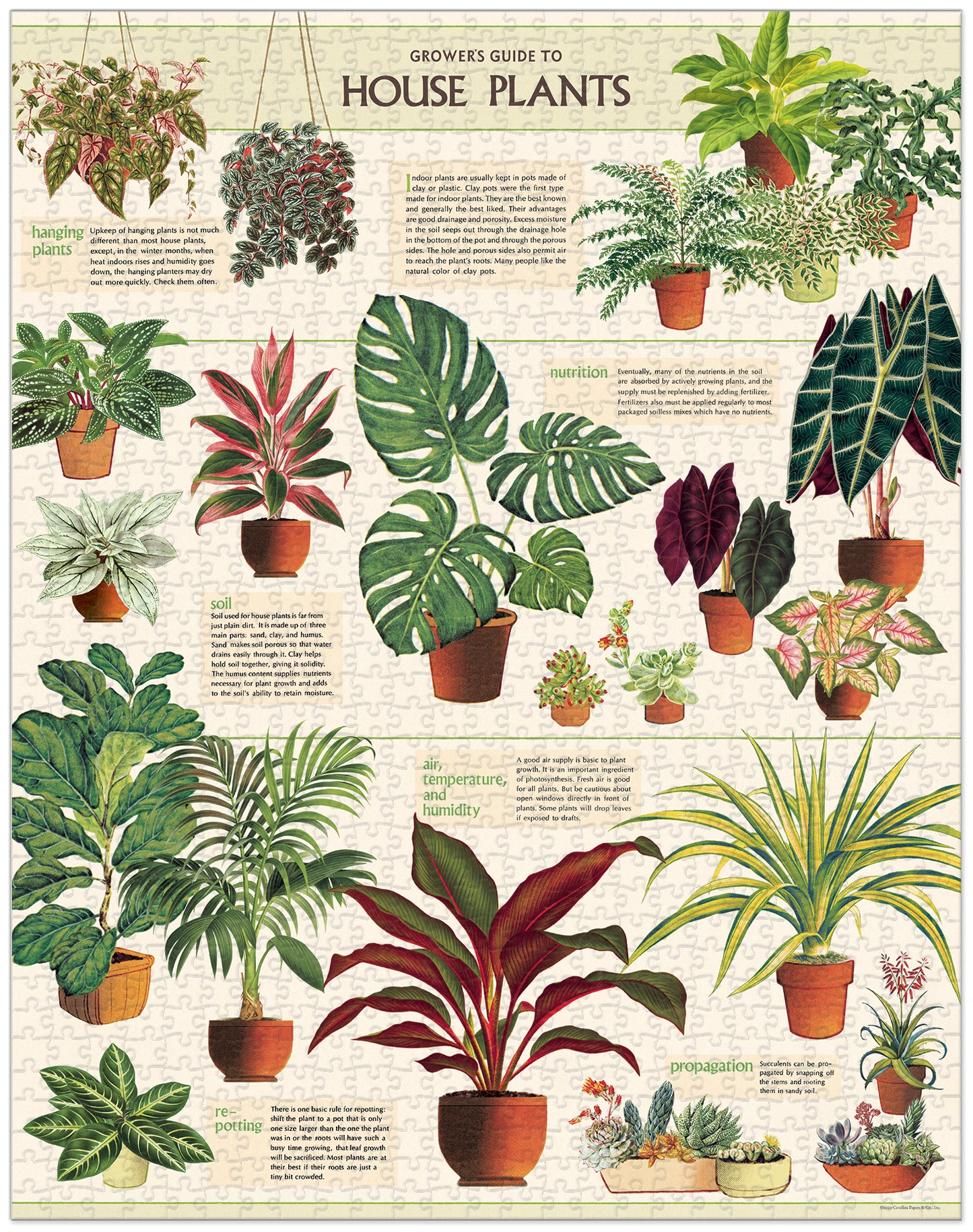 House Plants Vintage Puzzle, by Cavallini