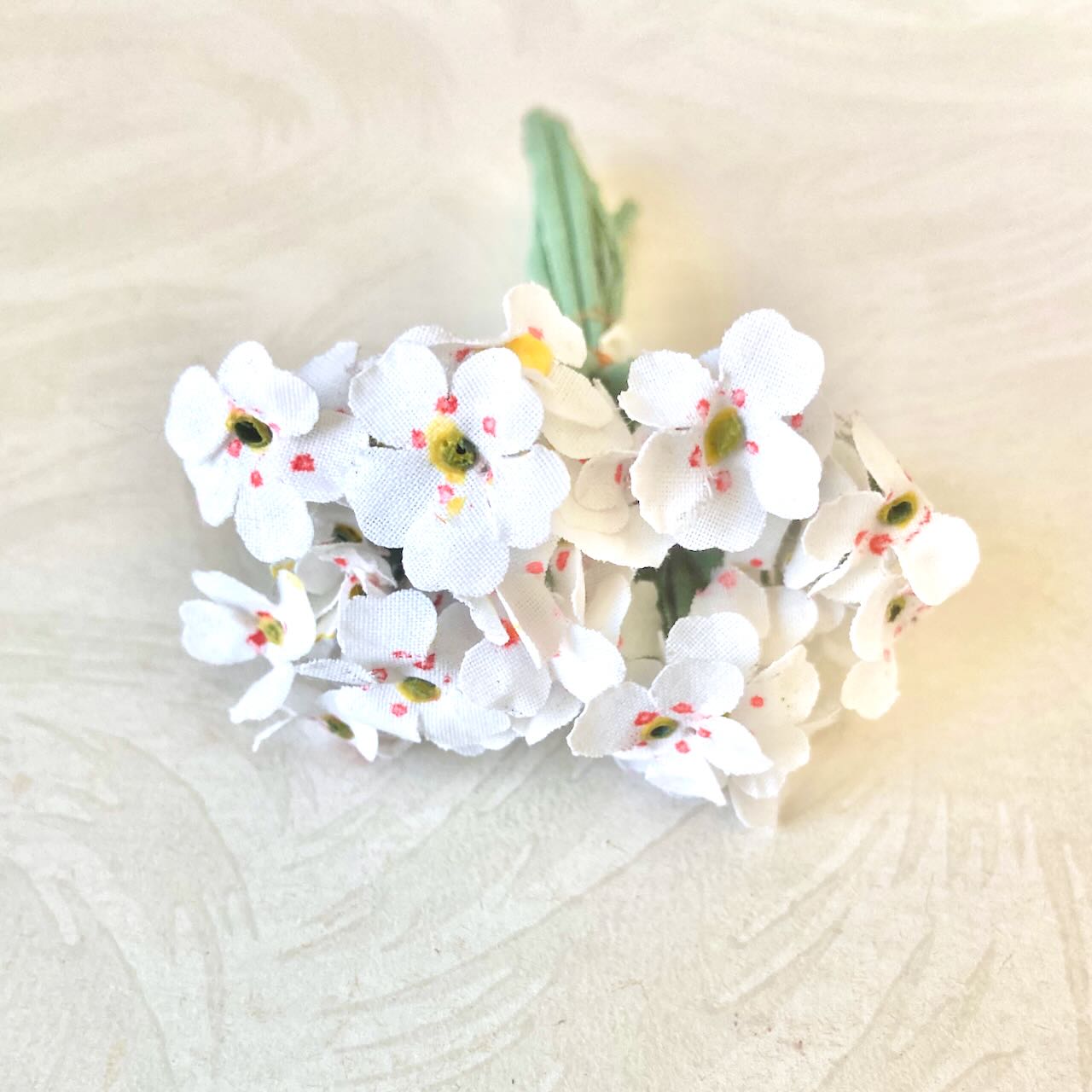 Primrose_Flower