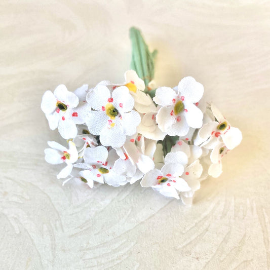 Primrose_Flower