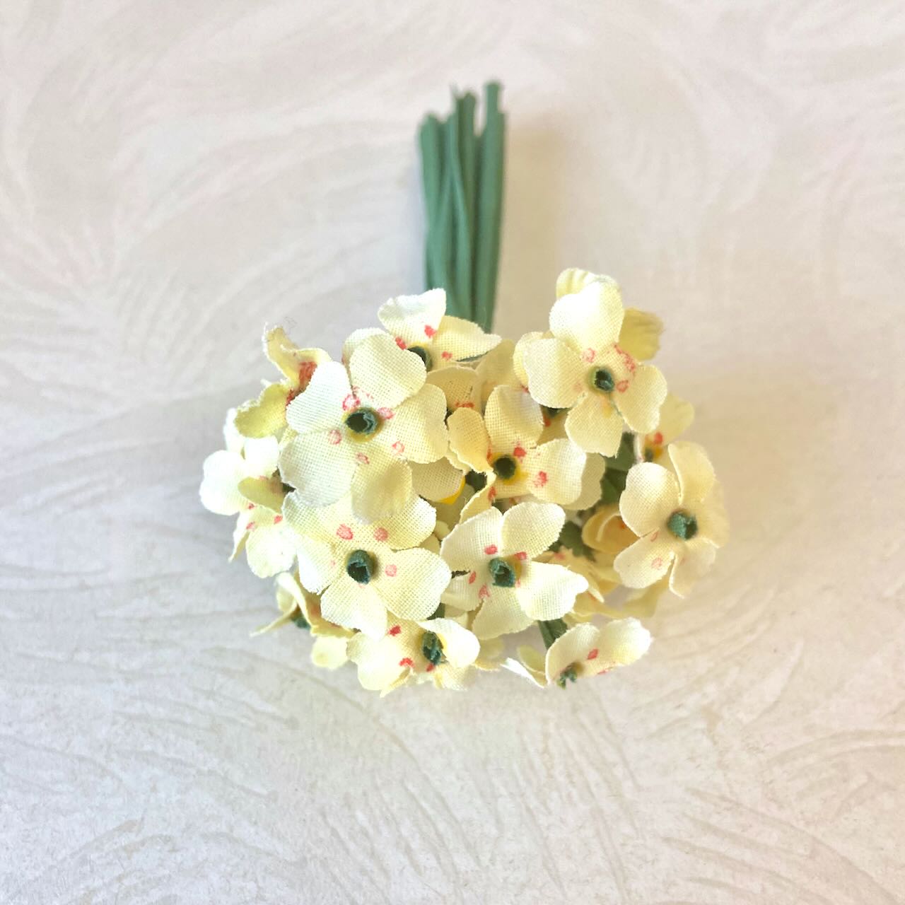 Primrose_Flower