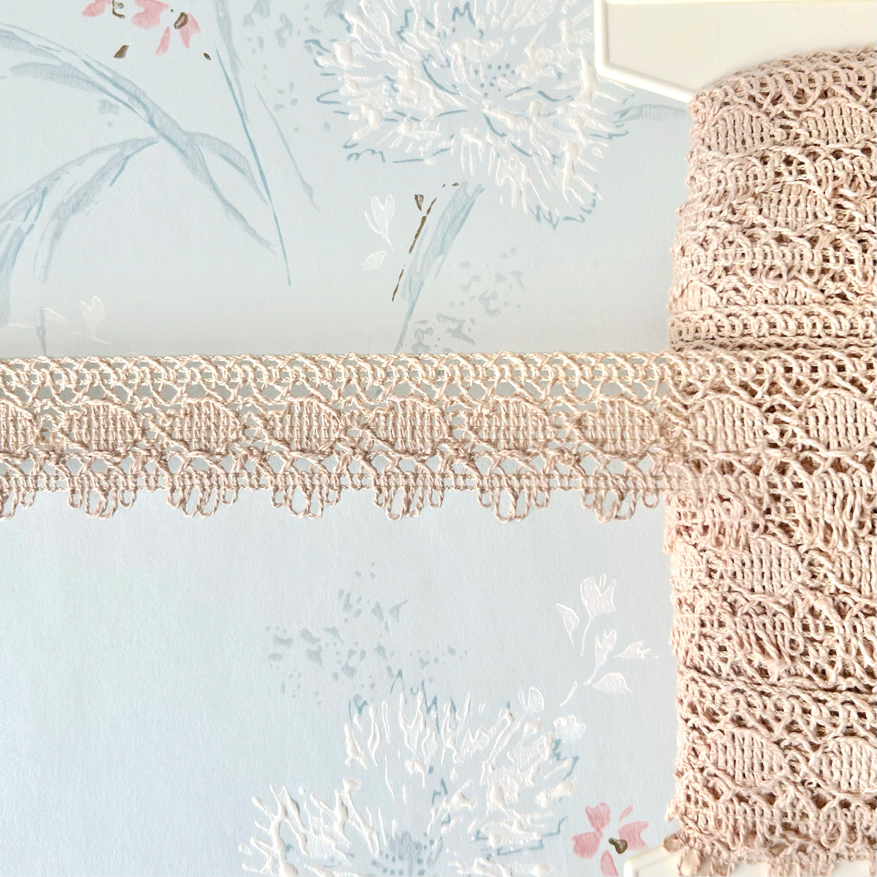Scallop_Cluny_Lace