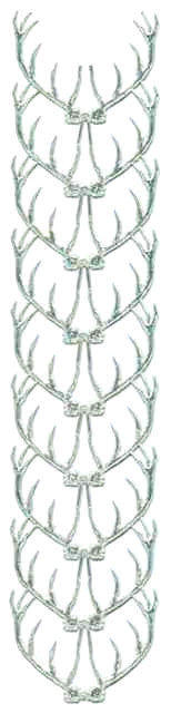 Silver_Dresden_Antlers