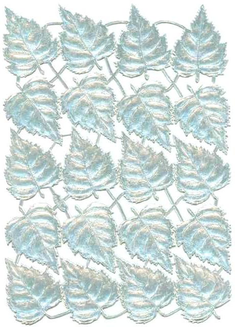 Silver_Dresden_Birch_Leaf