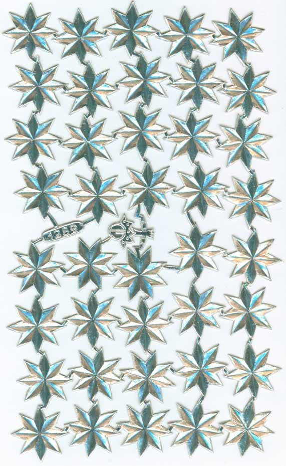 Silver_Dresden_Star_40_Piece