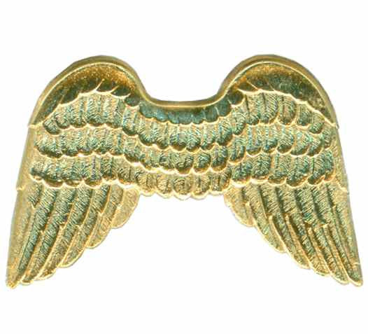 Wings, Dresden Trim