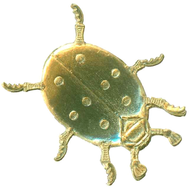Gold_Dresden_Ladybug