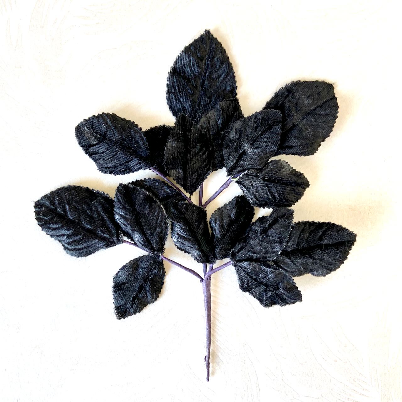 Velvet Leaf Spray