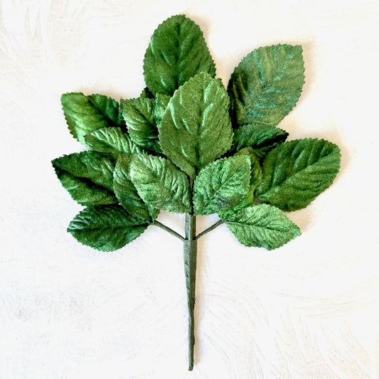 Velvet Leaf Spray