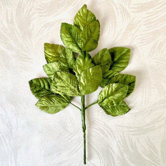 Velvet Leaf Spray