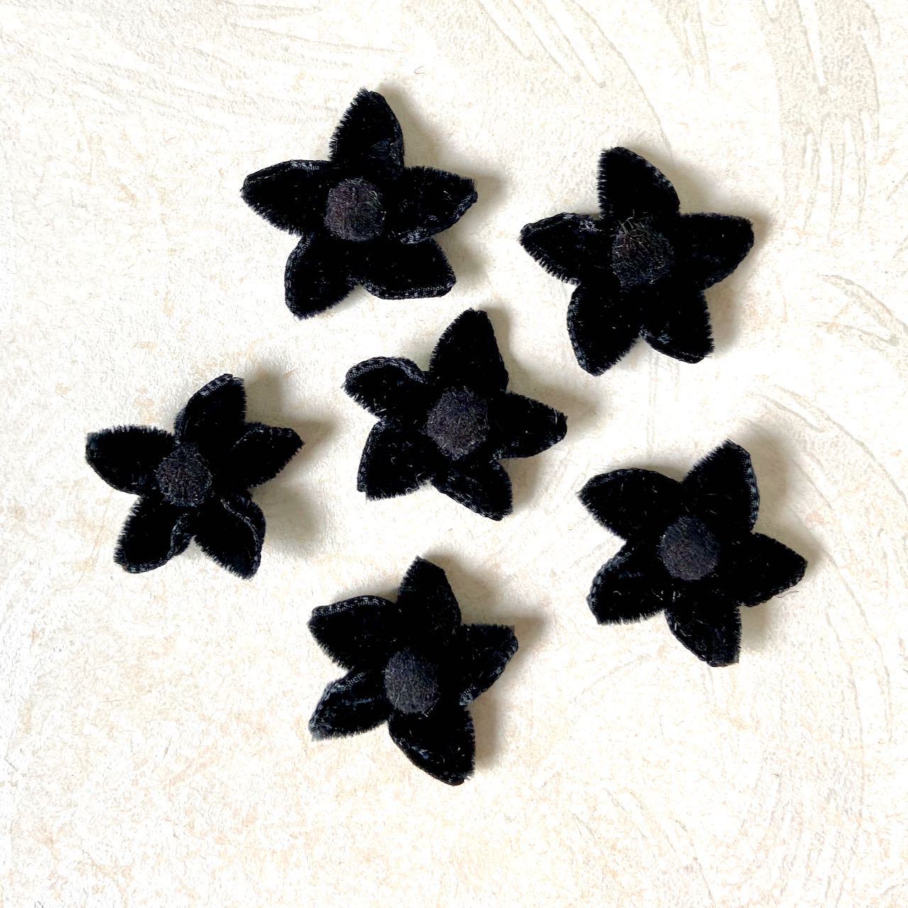 Velvet_Star_Flower_Black