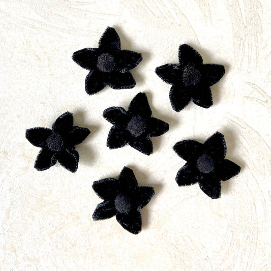 Velvet_Star_Flower_Black