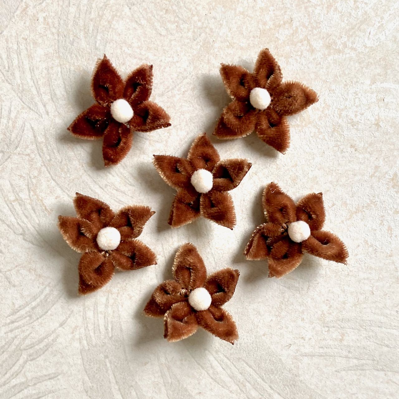 Velvet_Star_Flower_Brown