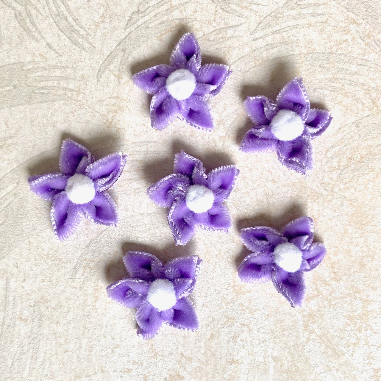 Velvet_Star_Flower_Lavender