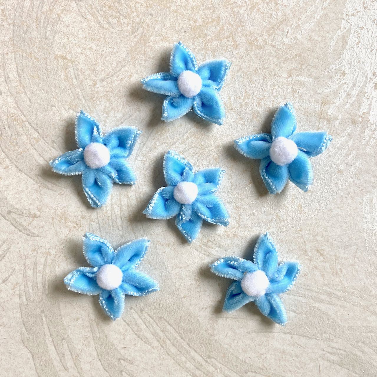 Velvet_Star_Flower_Light_Blue