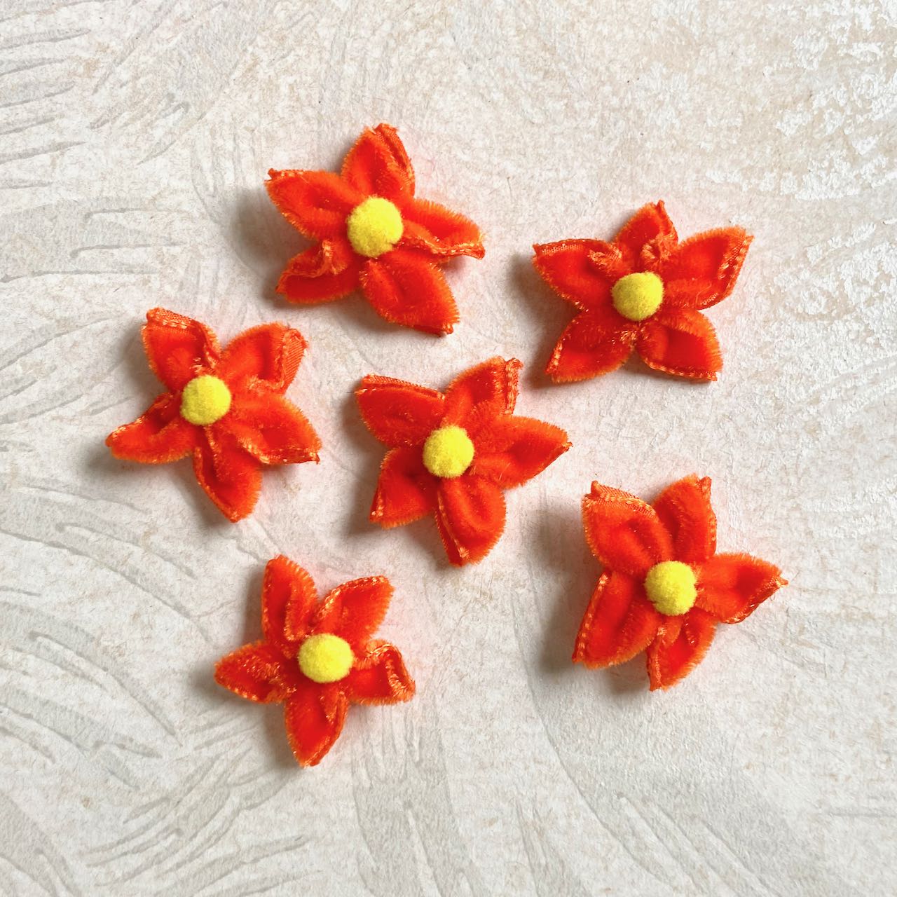 Velvet_Star_Flower_Orange