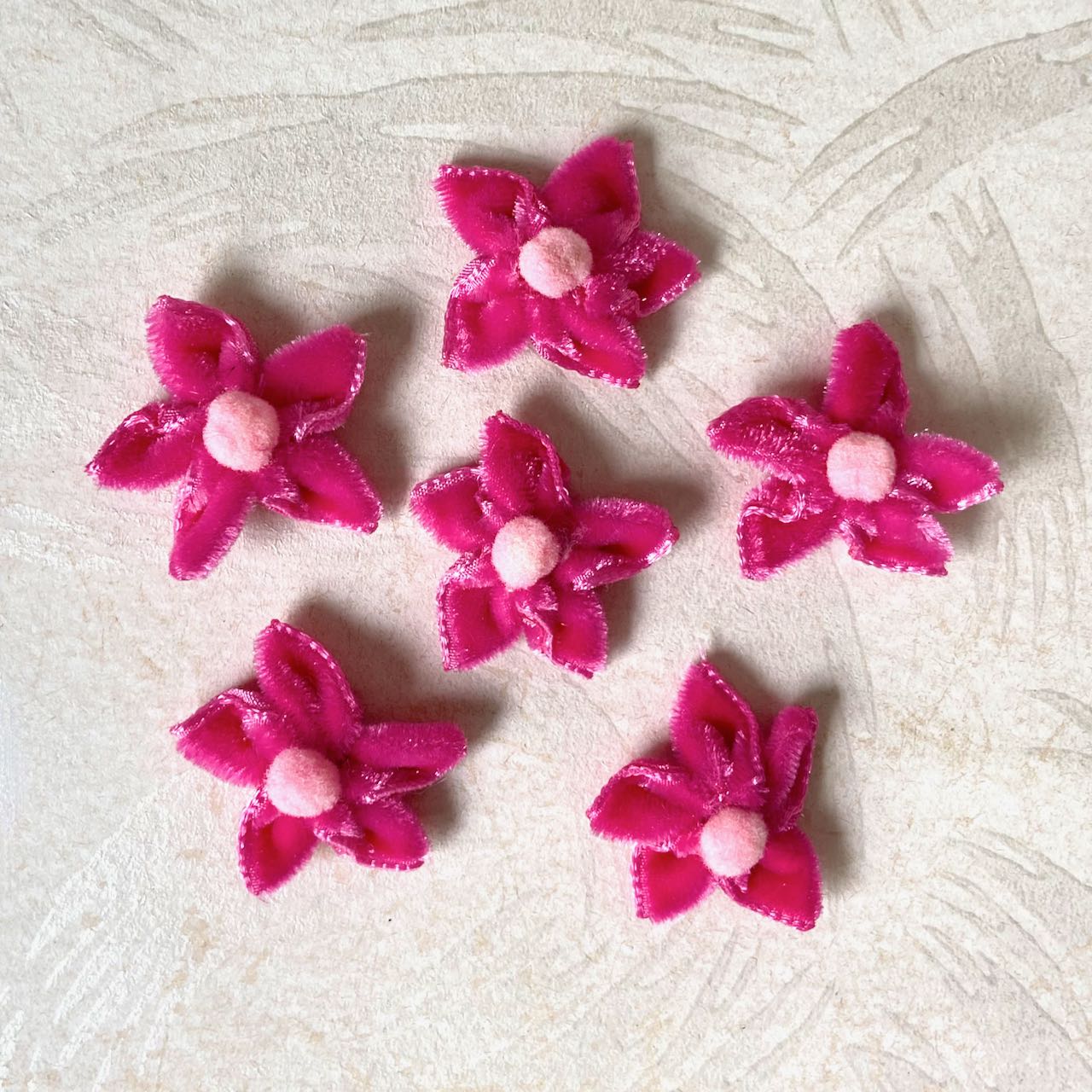 Velvet_Star_Flower_Pink