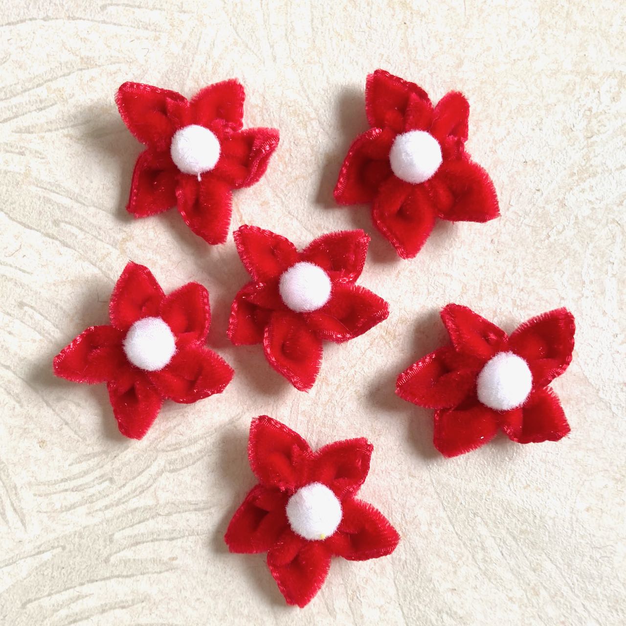 Velvet_Star_Flower_Red
