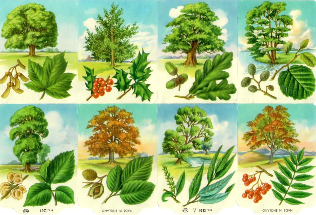 Vintage_Scrapbook_Picture