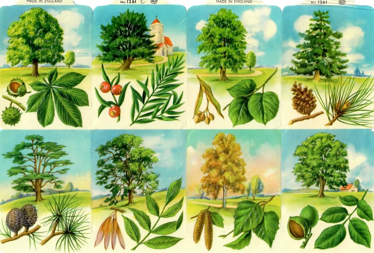 Vintage_Scrapbook_Picture'