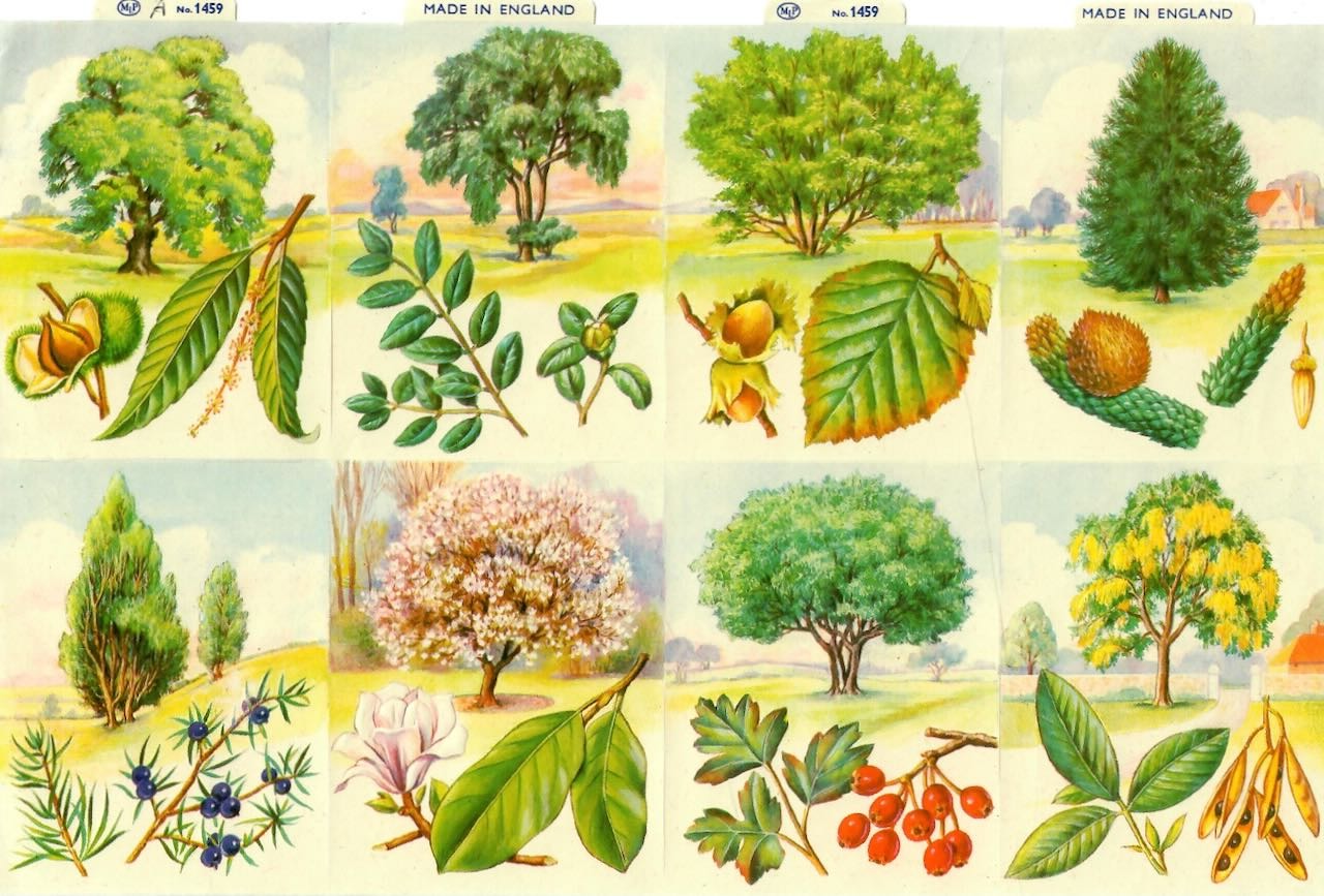 Vintage_Scrapbook_Picture_Trees