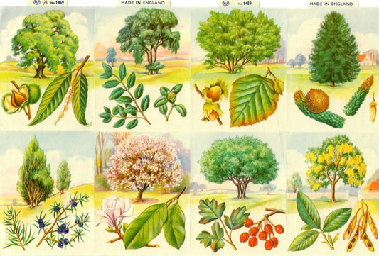 Vintage_Scrapbook_Picture_Trees
