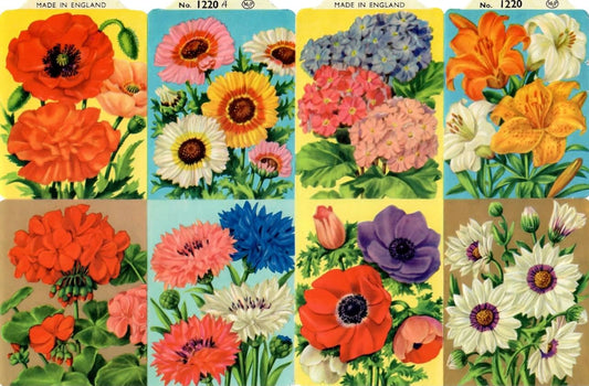 Vintage_Scrapbook_Pictures_Flowers