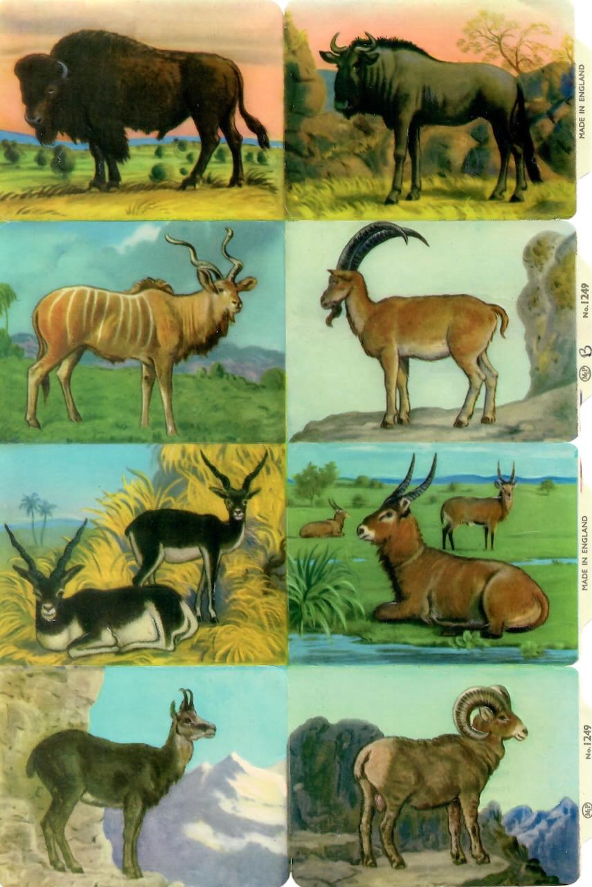 Vintage_Scrapbook_PIctures_Animals