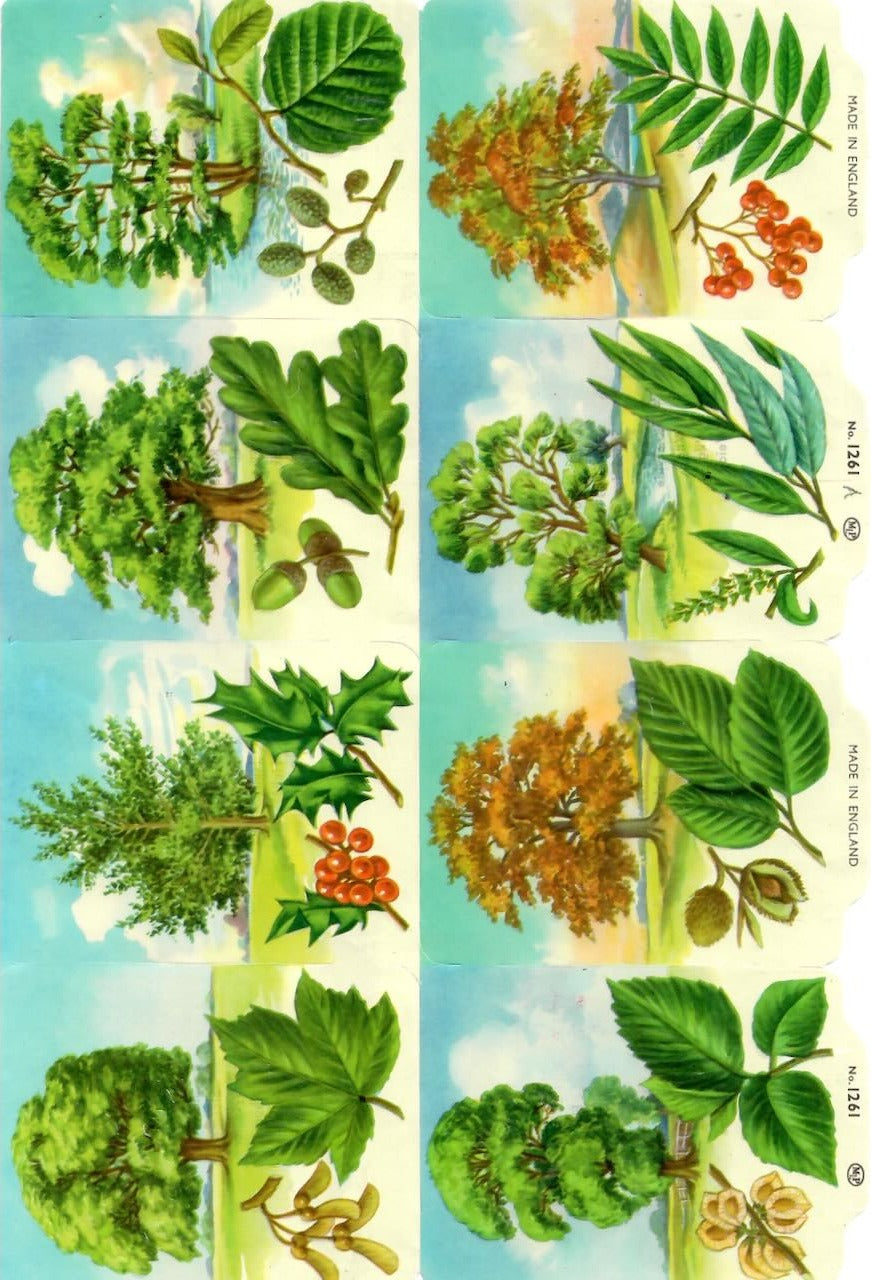 Vintage_Scrapbook_Picture