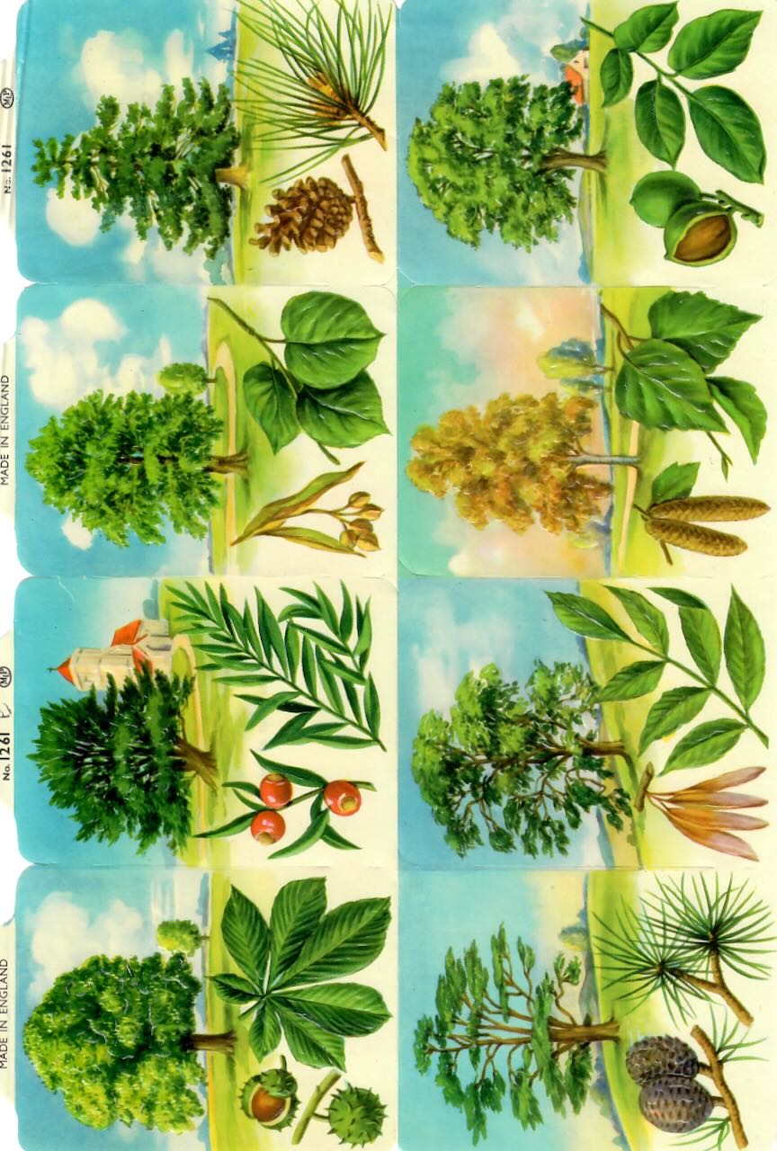 Vintage_Scrapbook_Picture