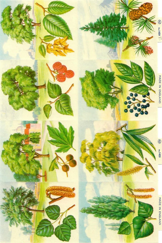 Vintage_Scrapbook_Picture_Trees