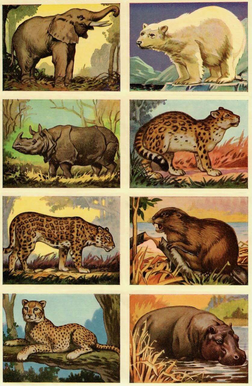 Vintage_Scrapbook_Pictures