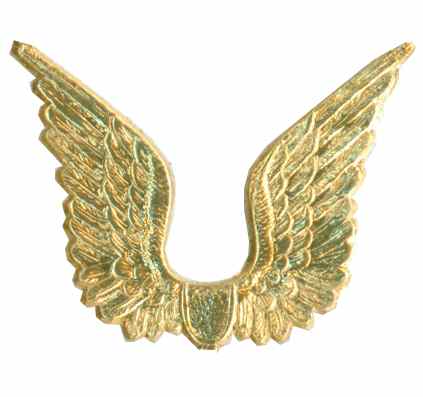 Wings, Dresden Trim