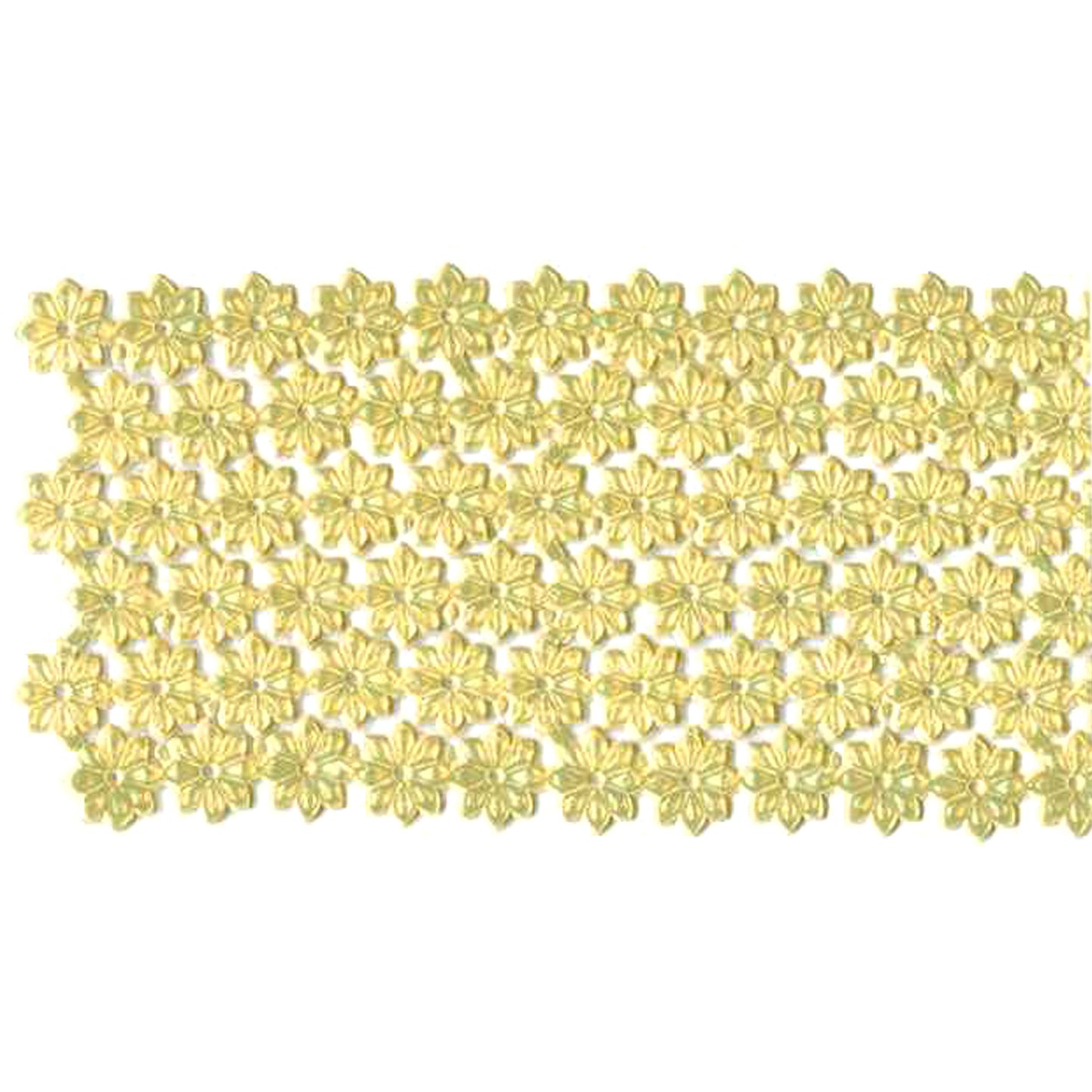 Daisy Flower Border