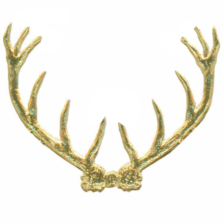 Antlers, Dresden Trim