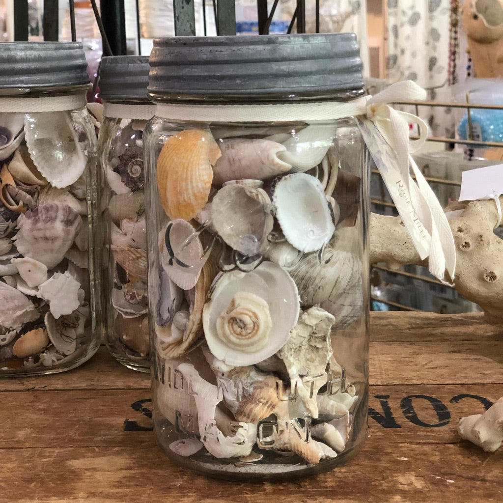 Jar of Sea Shells