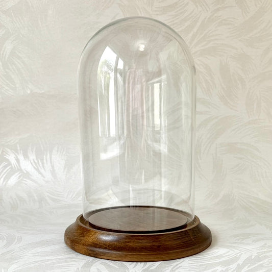 Glass Display Dome with Wood Base