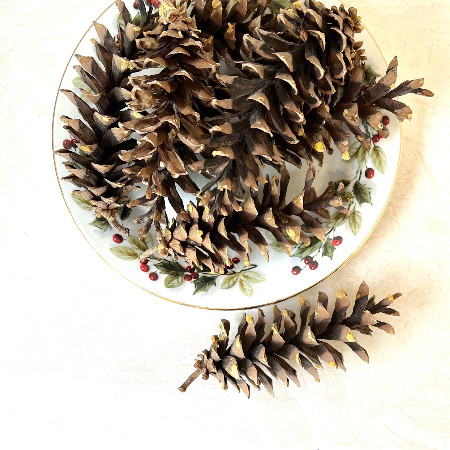 Sugar Pine Cones