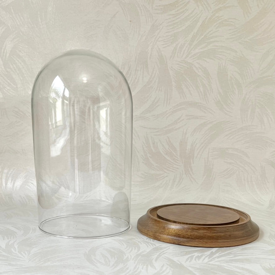 Glass Display Dome with Wood Base