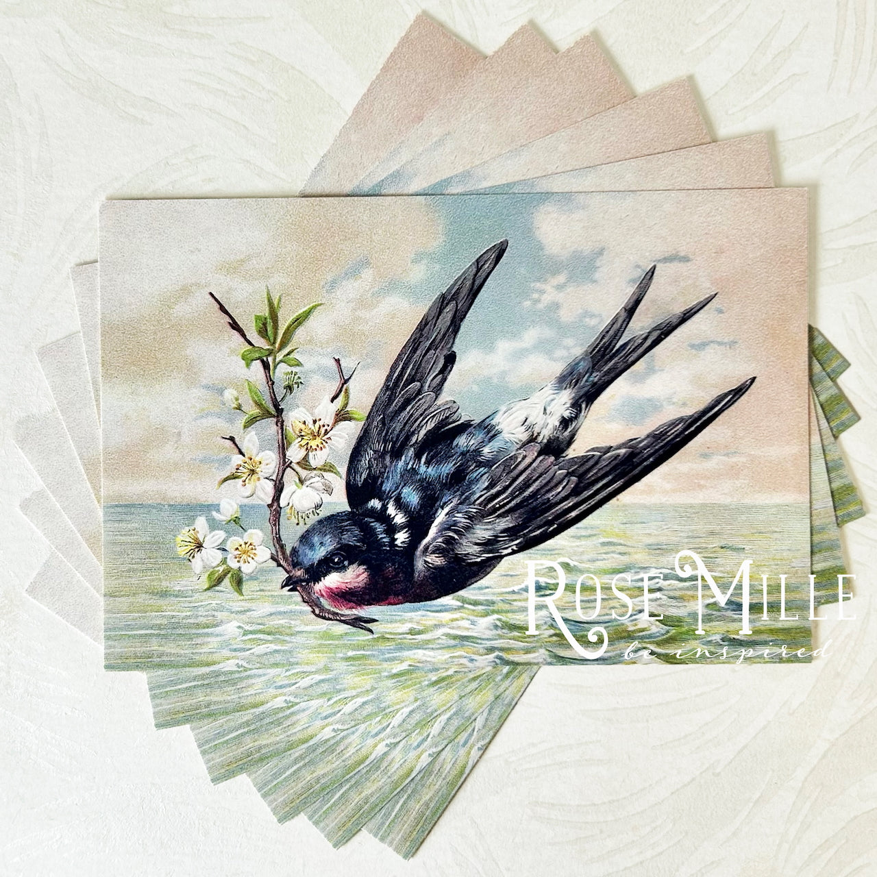 Bird_Postcard