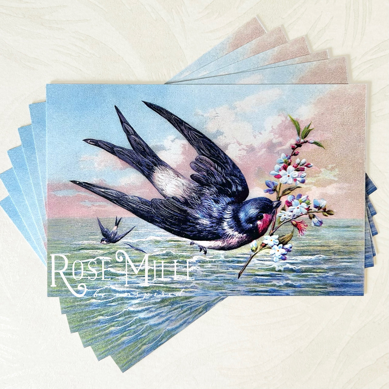 Bird_Postcard