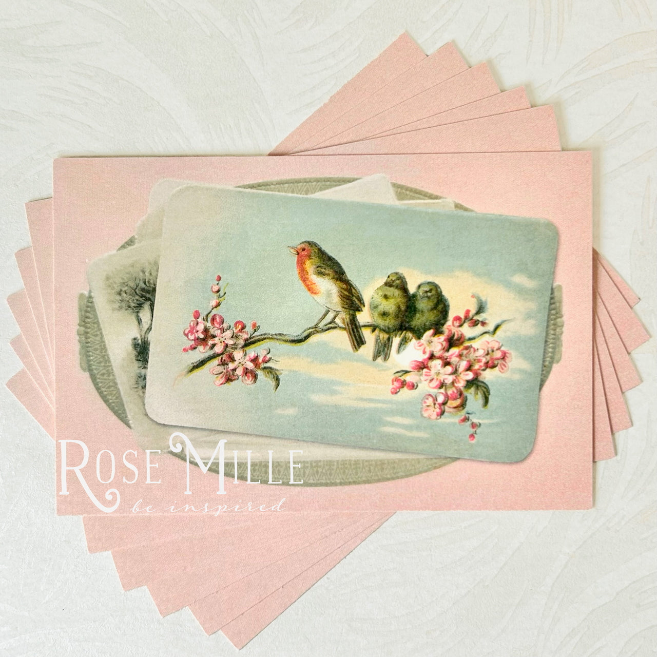 Bird_Postcard