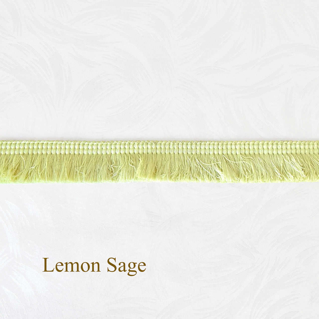 Brush_Fringe