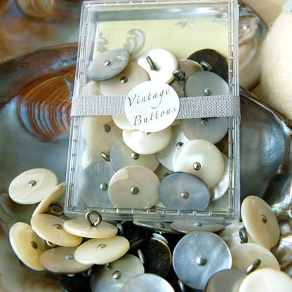 Shell Shank Buttons - Vintage