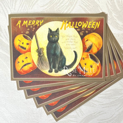 Black Cat with Pumpkins - Layering PostCards